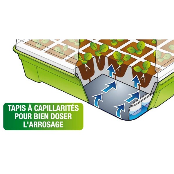 Kit de germination pas cher Mini serre de germination ID Market