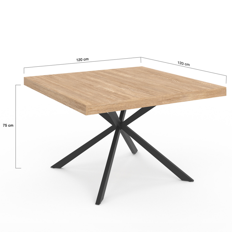IDMarket - Table à Manger Rectangle Phoenix 6 Personnes Bois et Noir 160 cm