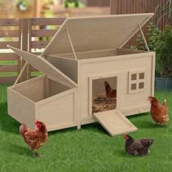 Poulailler 6 poules avec pondoir en bois toit plat et sur pilotis