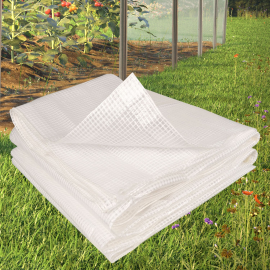 Bâche Imperméable Transparente avec Oeillets, Plusieurs tailles, Housse De  Protection Pour Jardin - 200 × 200 cm