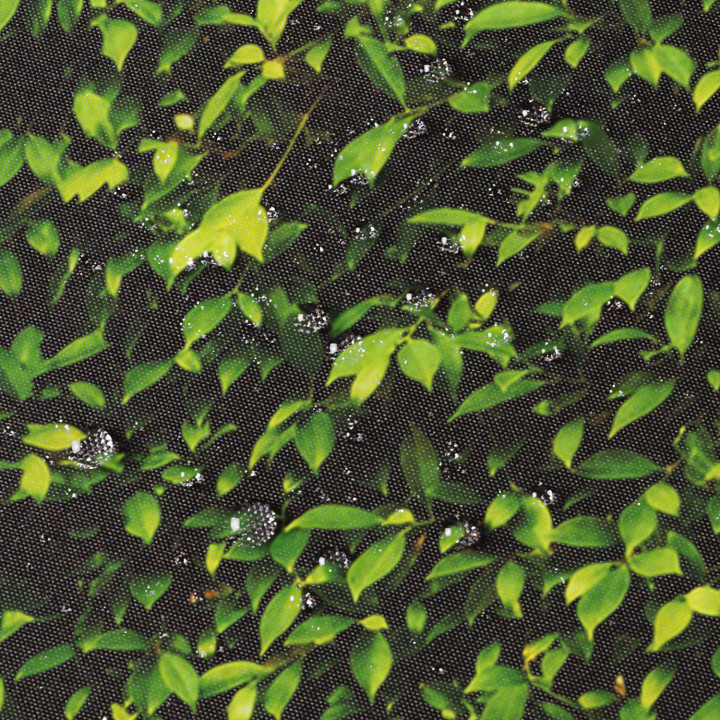 Pantalla plegable retráctil para exterior 180x400cm impresión follaje persiana lateral | ID Market