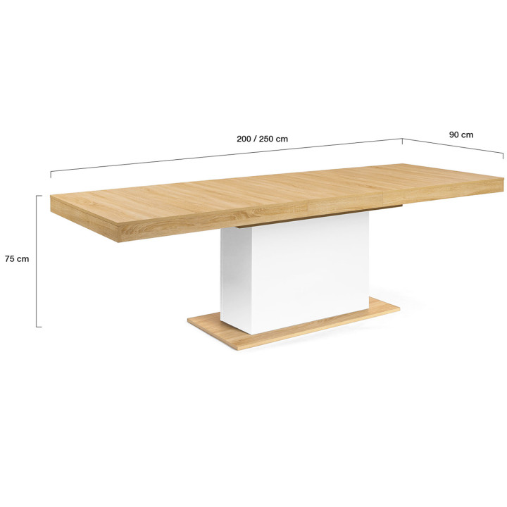 Uitschuifbare rechthoekige eettafel EDEN 8-12 personen hout en wit 200-250 cm