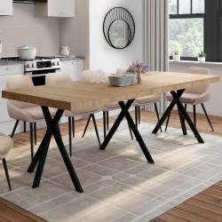 Table console extensible ALIX 10 personnes 235 cm design industriel