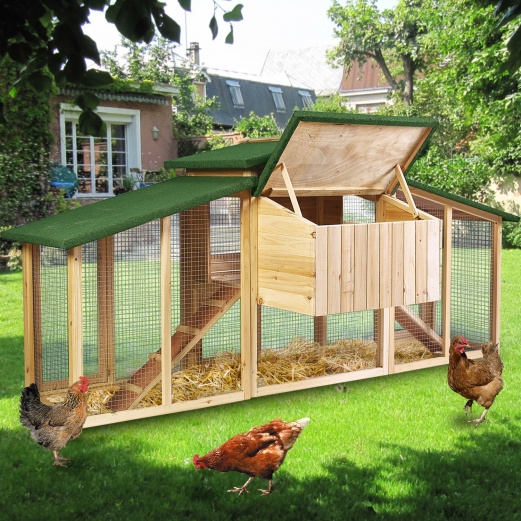 Poulailler Luxe Xxl Clapier En Bois Avec Pondoir