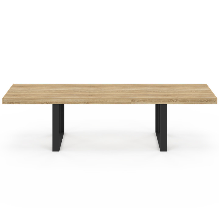 Rechteckiger Esstisch PHOENIX 12 Personen Holz und Schwarz 300 cm