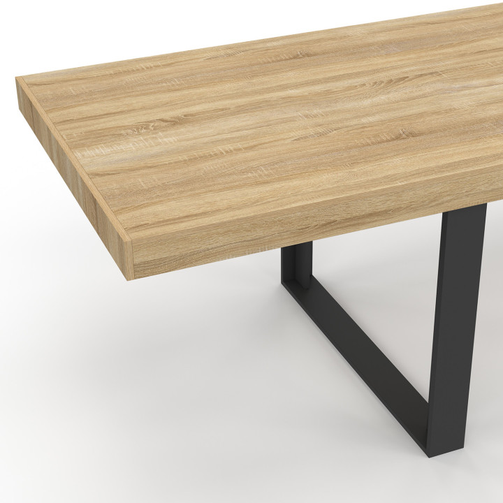 PHOENIX Mesa de comedor rectangular para 12 personas de madera y negro 300 cm