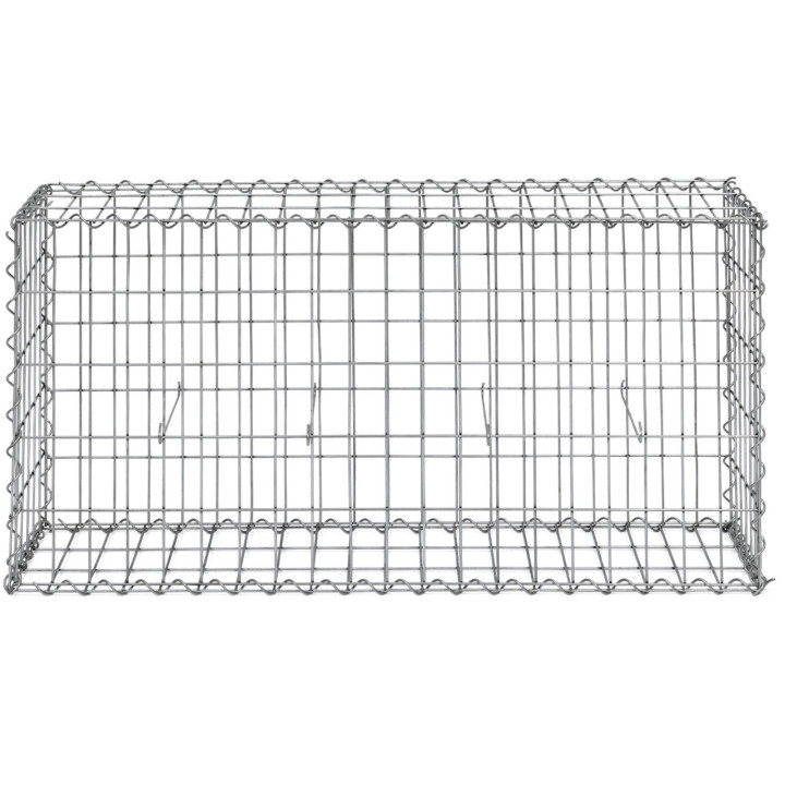 Lot de 2 gabions pour pierre 100 x 30 x 50 cm