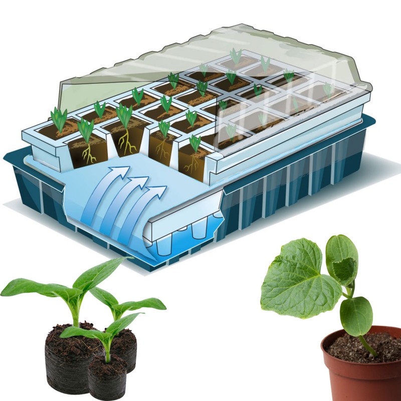 kit de germination 40 godets 