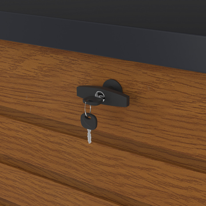 Cassetta da giardino in metallo con serratura grigio carbone 600L | ID Market