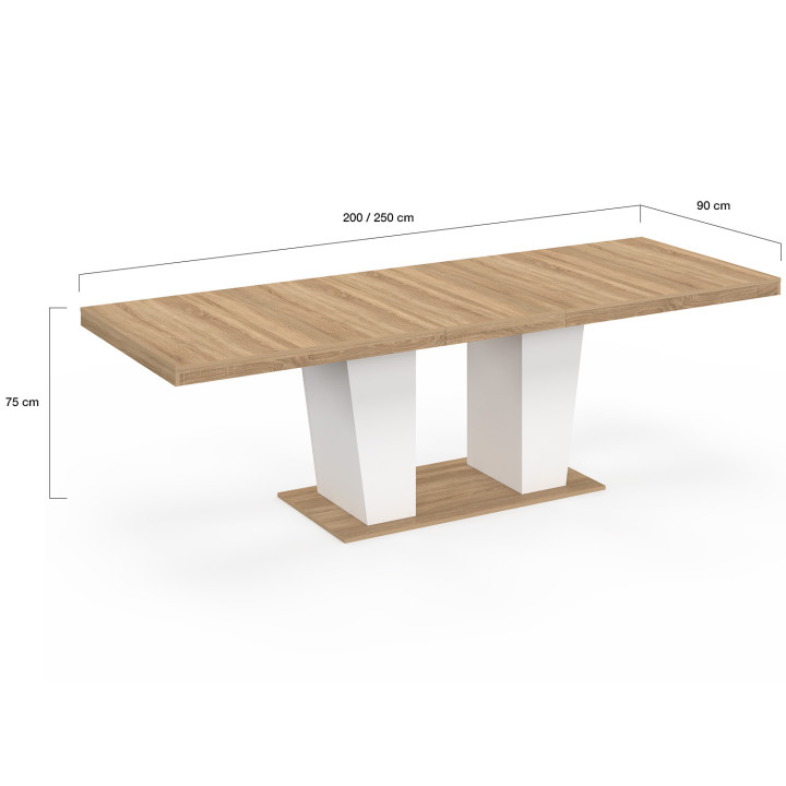 ELIAD mesa de comedor extensible, rectangular, 8-12 personas, madera y blanco 200-250 cm