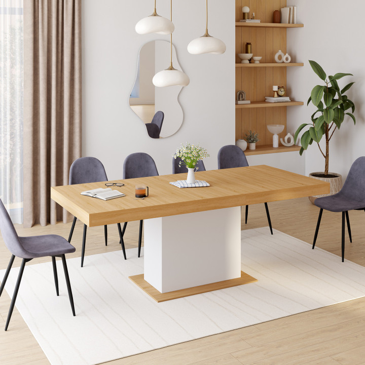 Table à manger extensible rectangle EDEN 6-10 personnes bois et blanc 160-200 cm