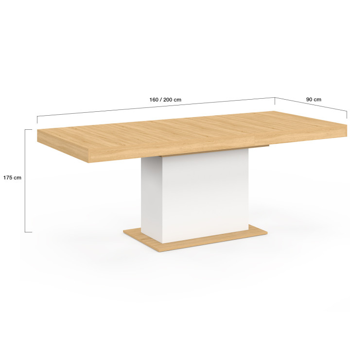 Table à manger extensible rectangle EDEN 6-10 personnes bois et blanc 160-200 cm