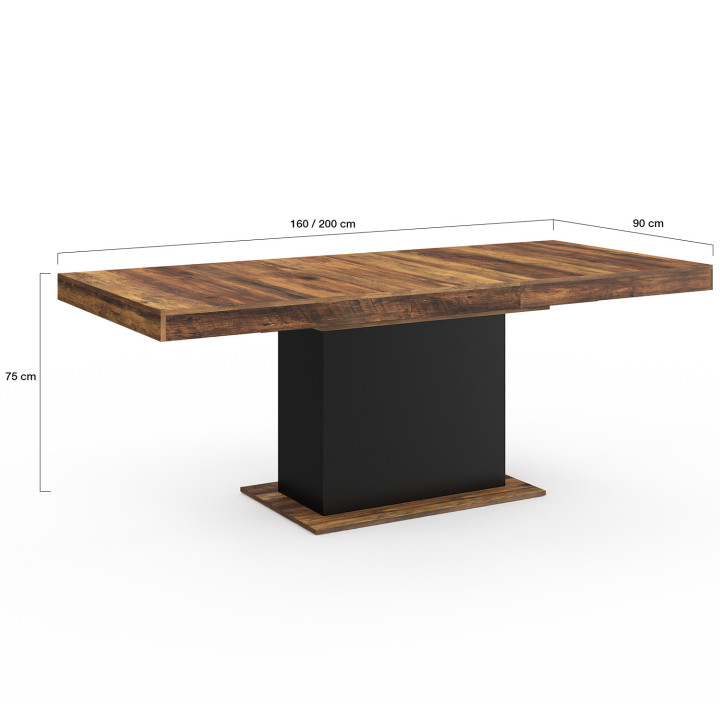 Uitschuifbare eettafel donker hout en zwart 6-10 personen - EDEN | ID Market