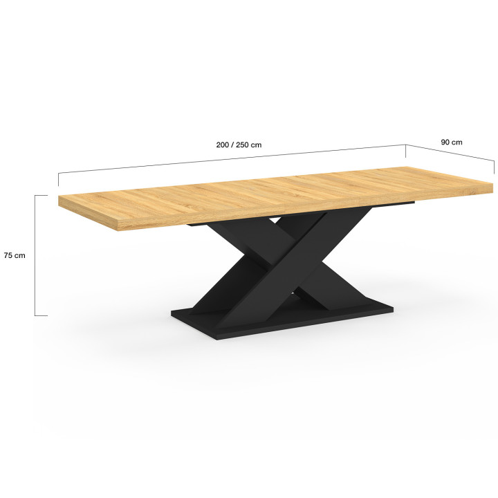 ALICIA uitschuifbare rechthoekige eettafel 8-12 personen hout en zwart 200-250 cm