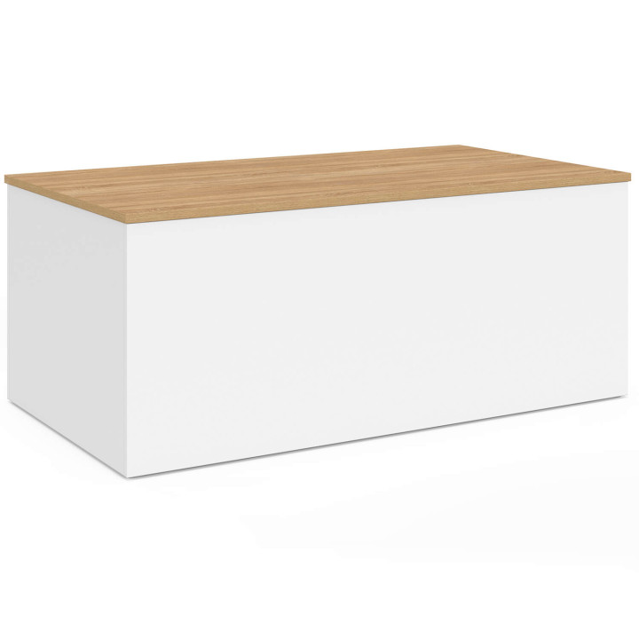 Table basse plateau relevable rectangulaire ELEA 110 cm avec grand coffre bois blanc et façon hêtre