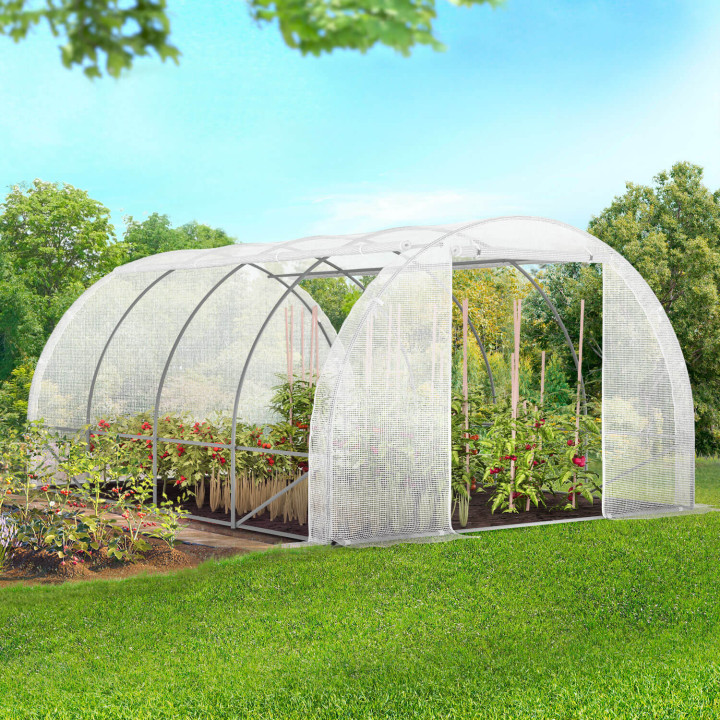 A buon mercato 12 m² serra a tunnel da giardino bianca