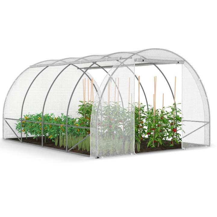 A buon mercato 12 m² serra a tunnel da giardino bianca