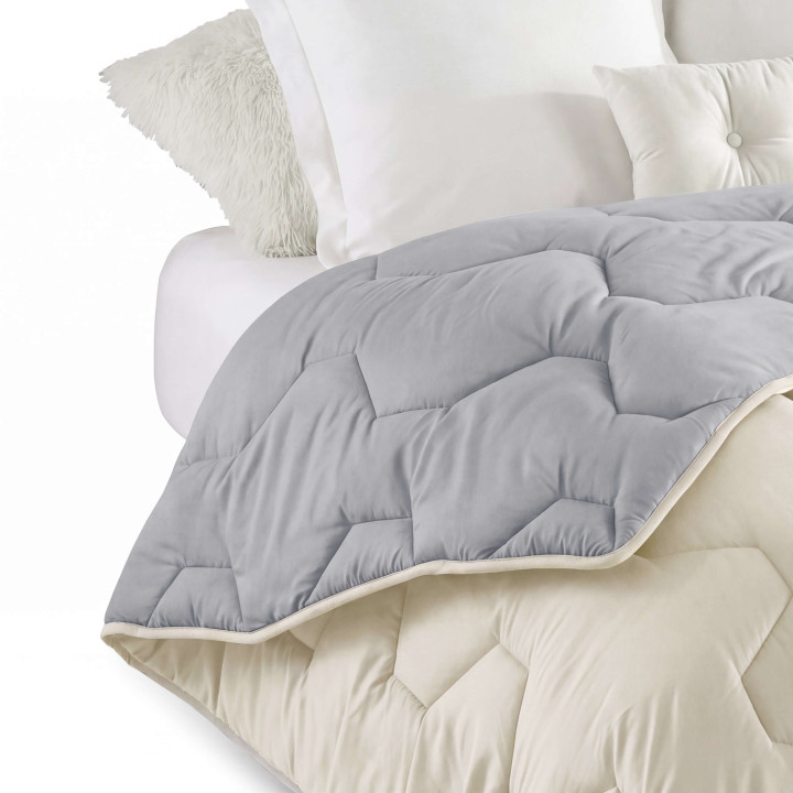Couette 140x200 CM ABBY bicolore gris clair et beige 300 gr