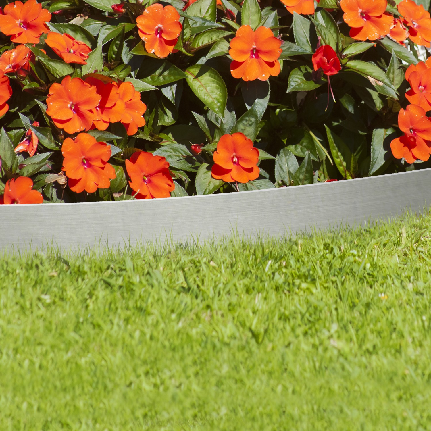 Bordure De Parterre Galvanisée Noire - Longueur 5 M, Hauteur 15 Cm - Pieds Pointus Pour Fixation Facile - Pour Jardin, Ferme, Allées