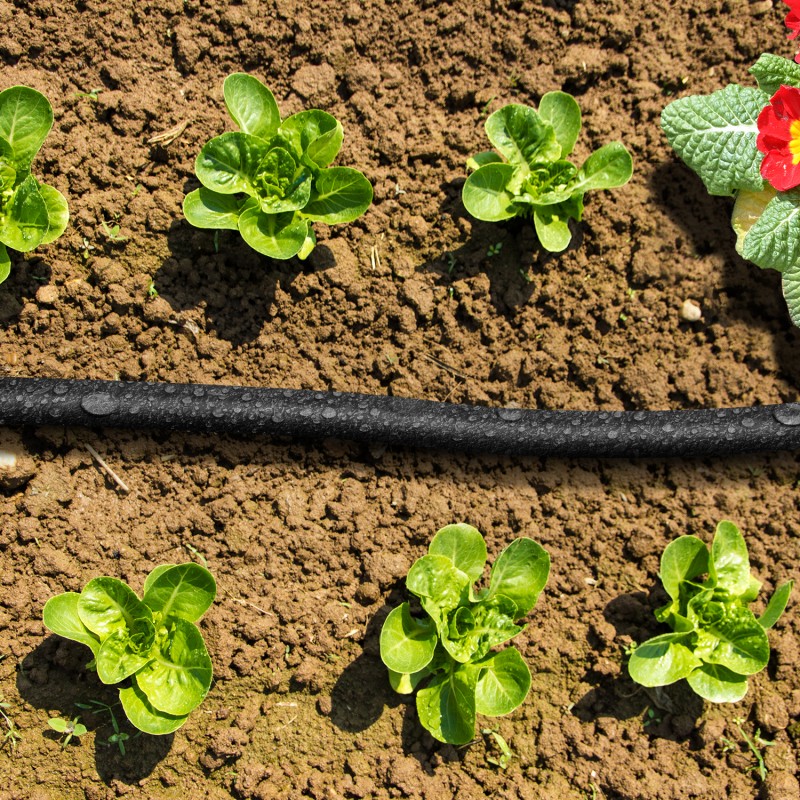 Tuyau arrosage goutte à goutte microporeux 25 m