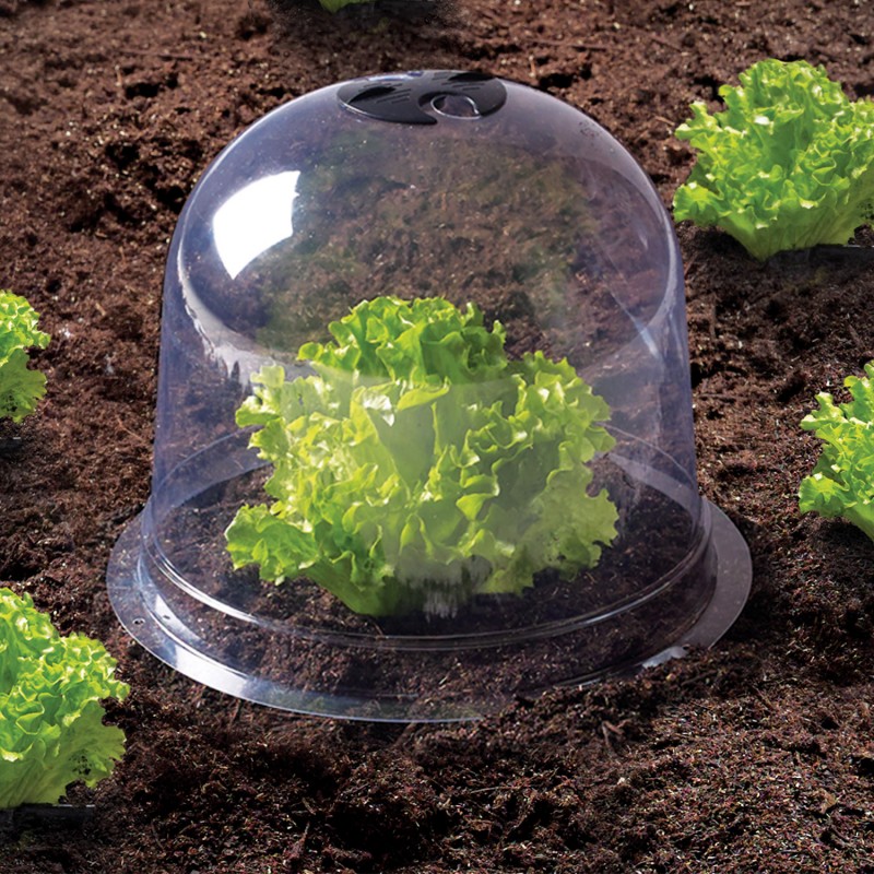 Cloches à Salade - Lot De 24, PVC Vert, Protection Contre Escargots Et Gel, 22x19x19 Cm