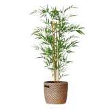 Kunstplanten