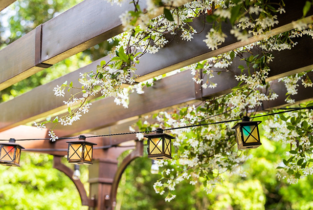 Une pergola agrémentée de fleurs du jardin