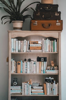 Une bibliothèque de salon en bois accueille de nombreux livres sur ses étagères. Il y a des valises et une plante verte en pot placées au-dessus du meuble