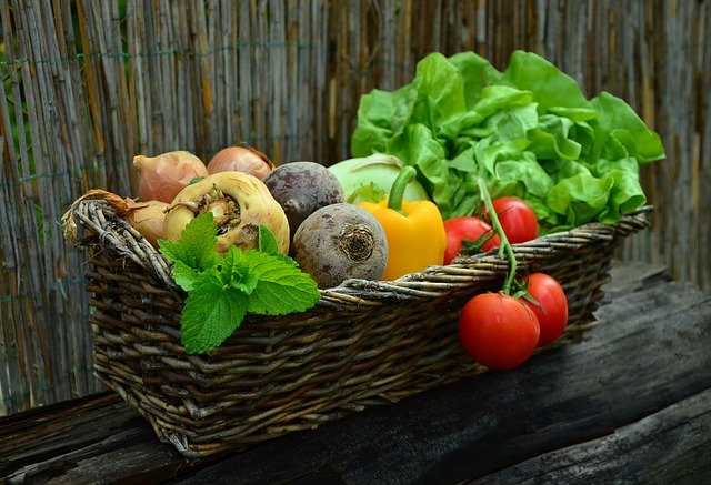 Panier de légumes cultivés sous serre