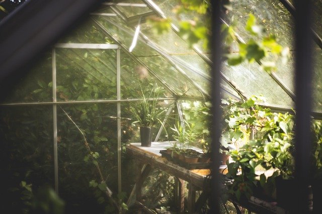 Serre de jardin pour cultiver ses légumes