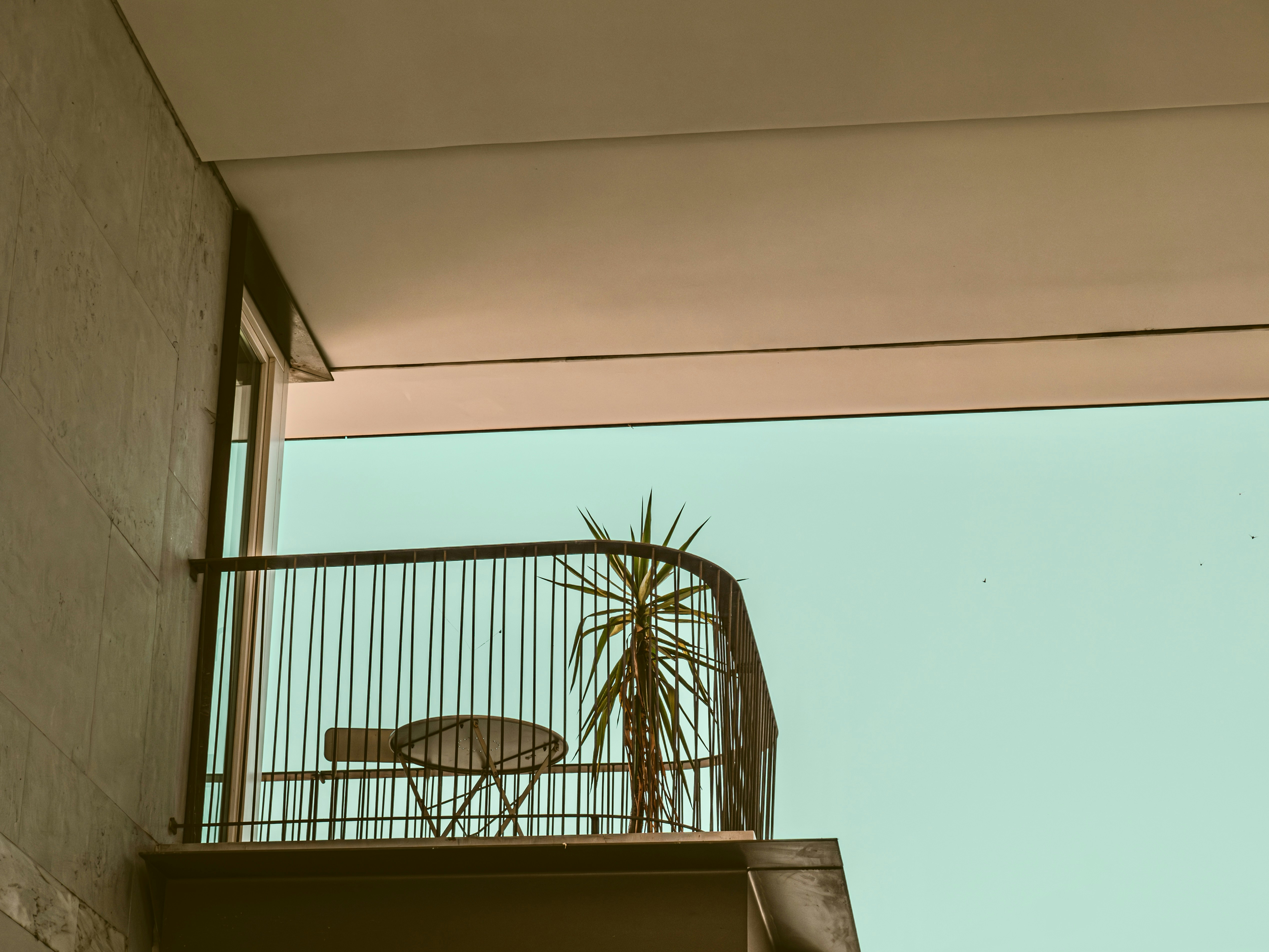 Petit coin repas cosy aménagé sur un balcon en ville avec une table pliante, des plantes et une décoration chaleureuse