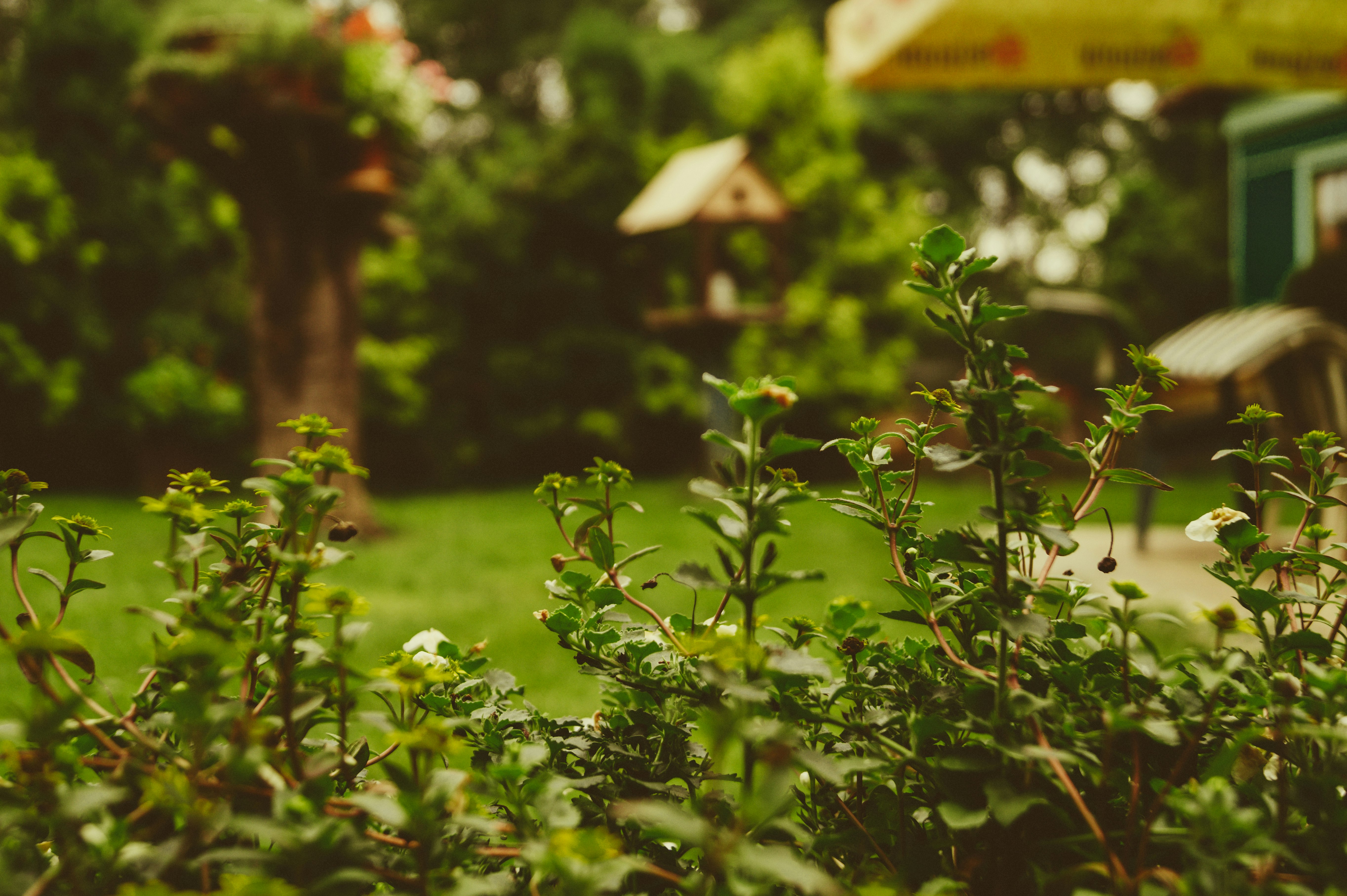 Aménagement extérieur pour jardin et terrasse en été avec IdMarket