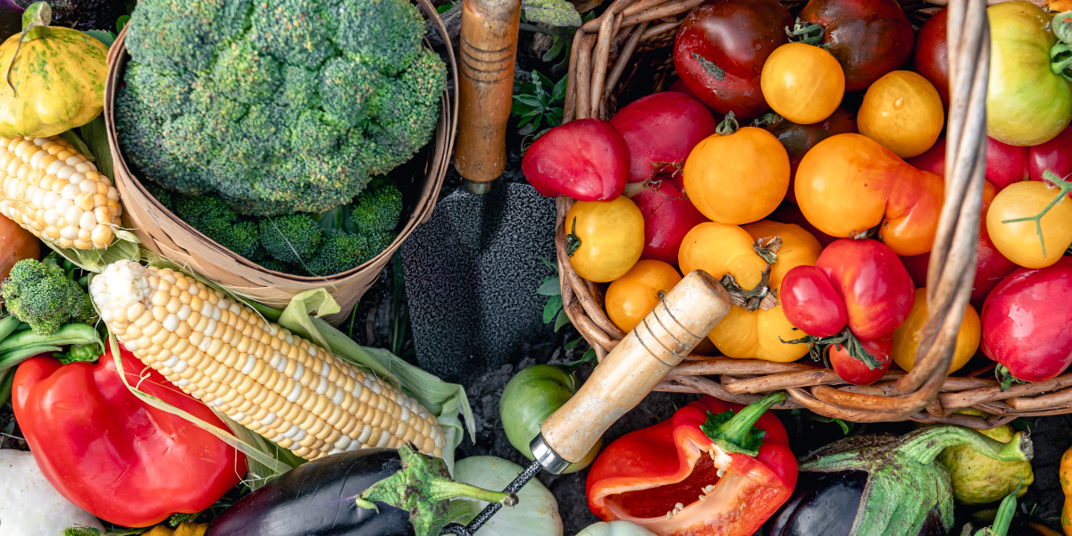 De designmoestuin: de nieuwe trend van 2026